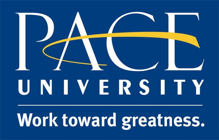 /img/newses/origin/pace_university_logo.jpg