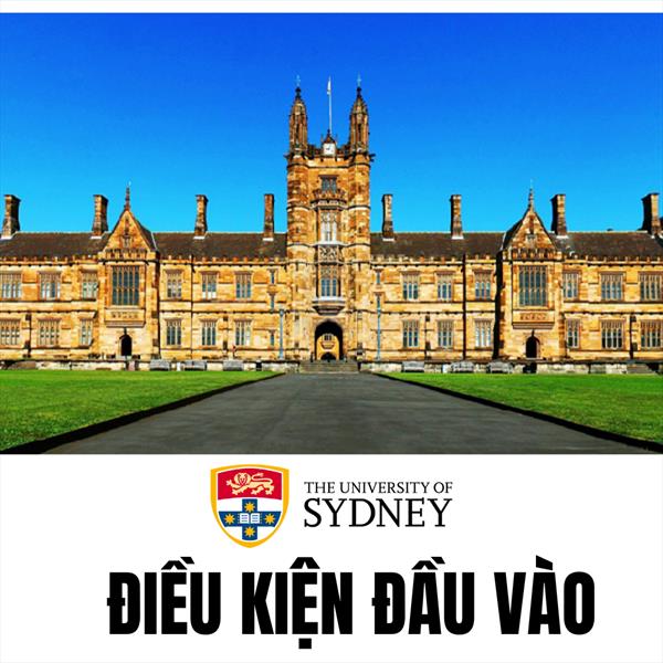 /img/newses/origin/visco_dai-hoc-sydney-va-yeu-cau-dau-vao-bac-cu-nhan-65465-2025101011424.jpeg