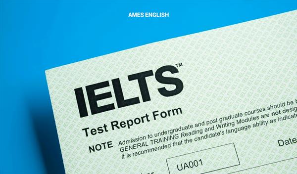 /img/newses/origin/visco_tong-hop-cac-truong-dai-hoc-my-co-yeu-cau-dau-vao-chi-tu-ielts-5-5-2025730154241.jpeg